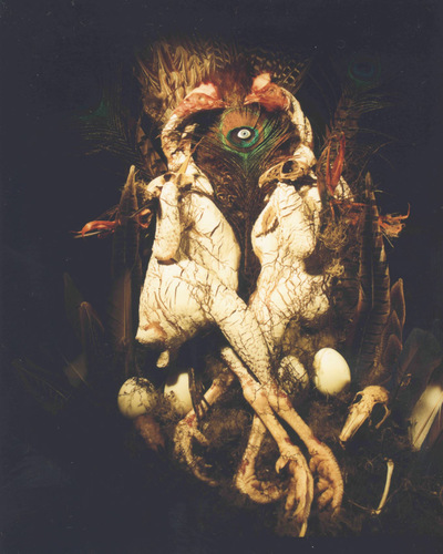 Phantasmagoria 2a