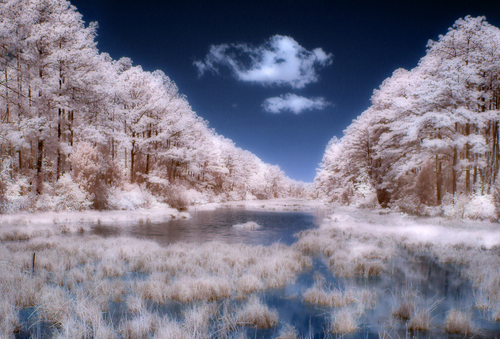 Blue Sky