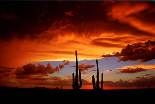 Arizona Sunset