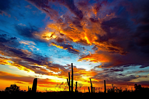 Arizona Sunset