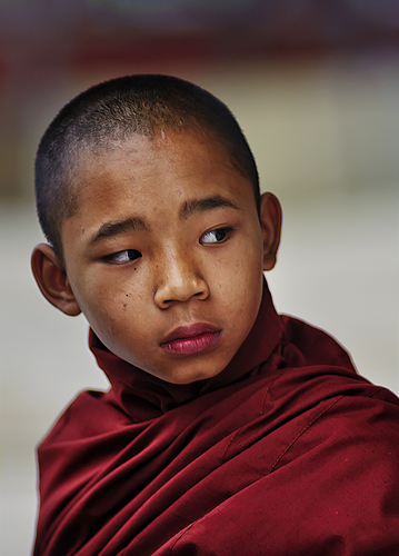 Young Monk