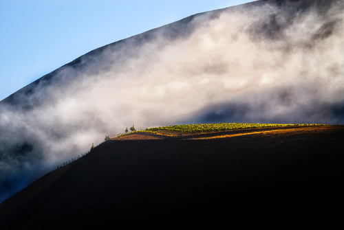 Z block in Fog
