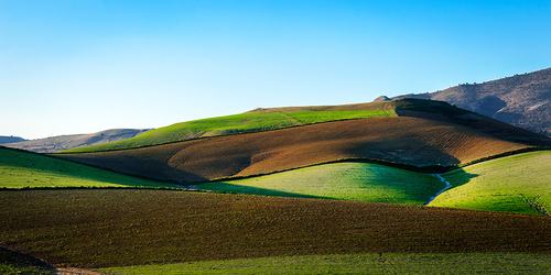 Rural Winter Landscape
