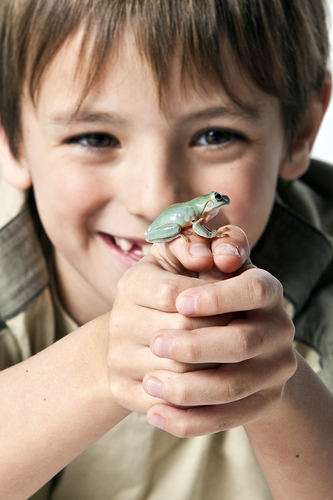 The Frog Prince