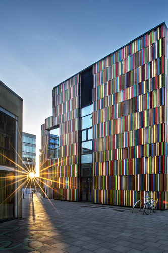 Clad with a Rainbow