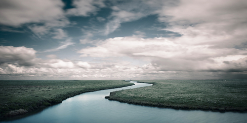 Hooge - study