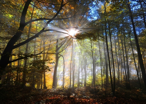 Enlightenment