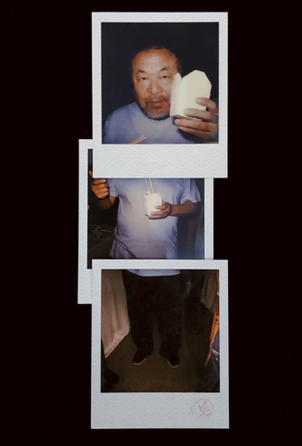 Ai Wei Wei 