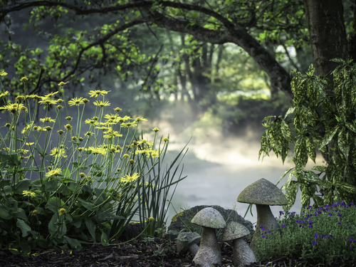Garden of Eden