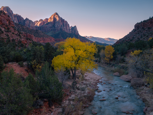 Zion's Watchman