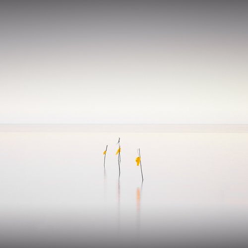 Haiku