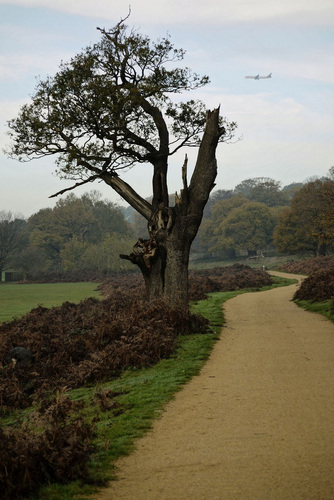 Autumn Unfinished