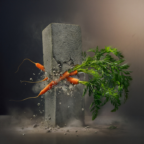 Seri conflict - Carrot