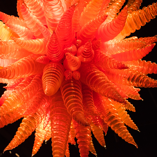 Orange, Orange, Orange