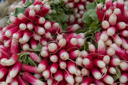 Ravishing Radishes