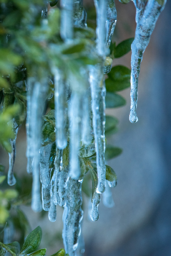 Blue Ice