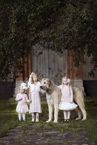 Be ware of our dog