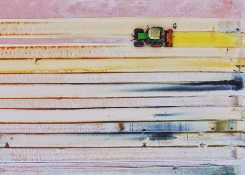 Shades of salt