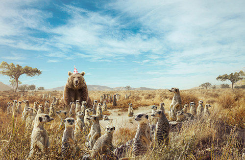 Stand Out From The Crowd -Bear