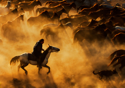 cowboy