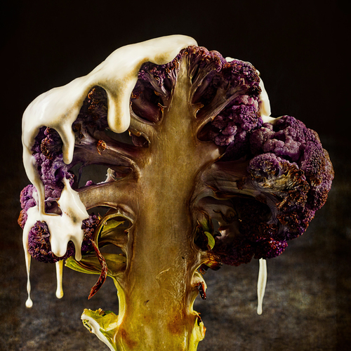 Mornay Tree