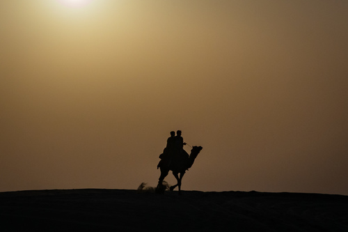 Camel Riders