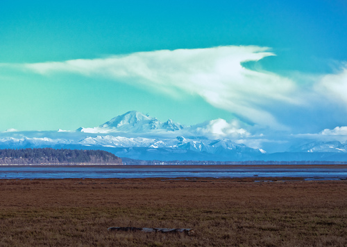 Boundary Bay