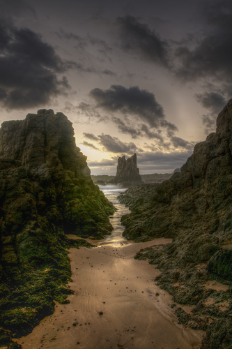 The Dawn