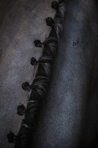 Equine Ridge