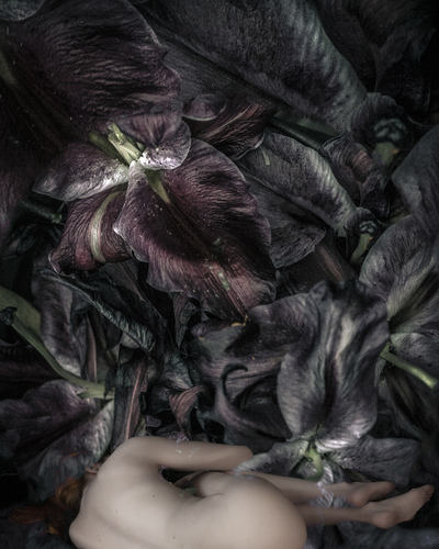 Eden