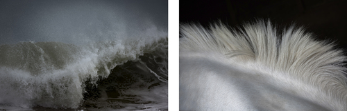 Waves