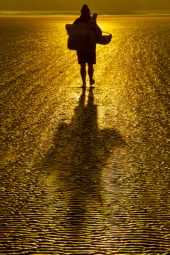 Gold Fisherman