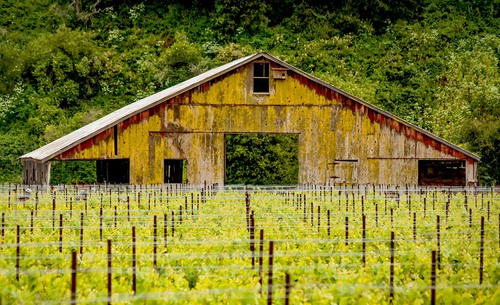 Santa Paula Vineyard Barn 