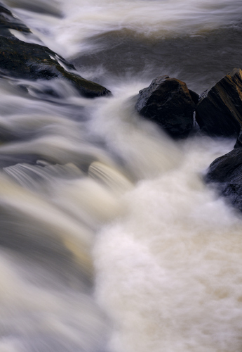 Force Of Nature