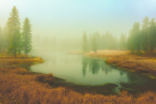 Misty Morning