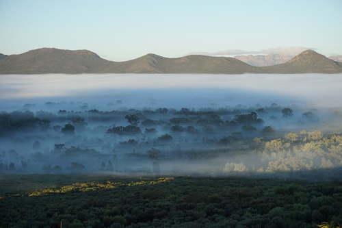 Wilpena Pound at Dawn