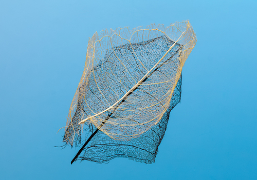 Fragility