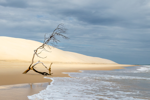Time and Tide