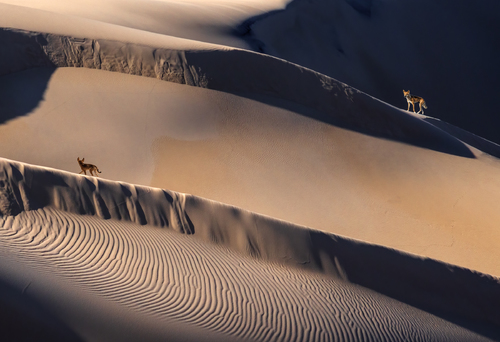 Wongari Dunes