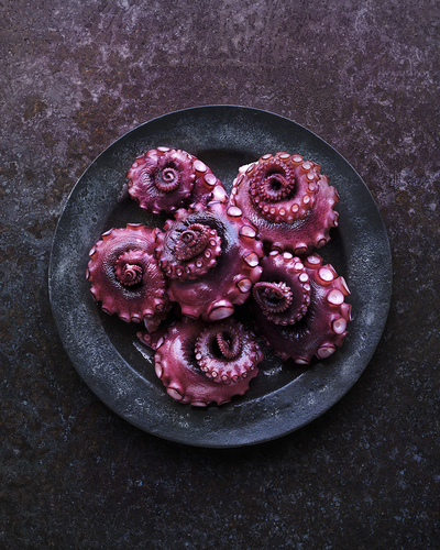 Octopus (1)