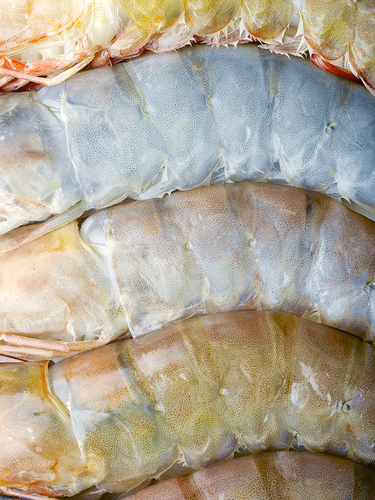 Prawn skins