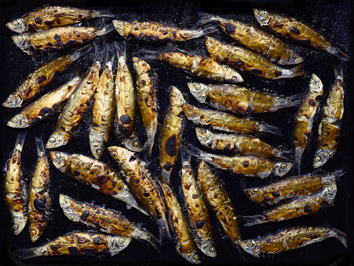 Sardines