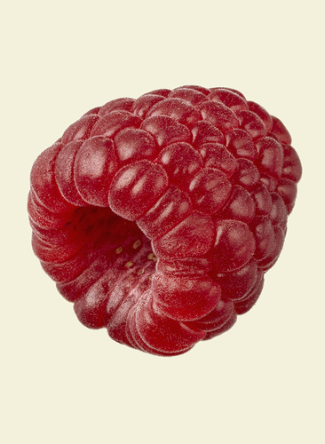 Raspberry