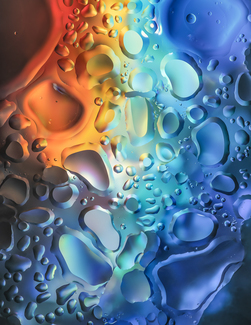 Color Awards Winners and Nominees