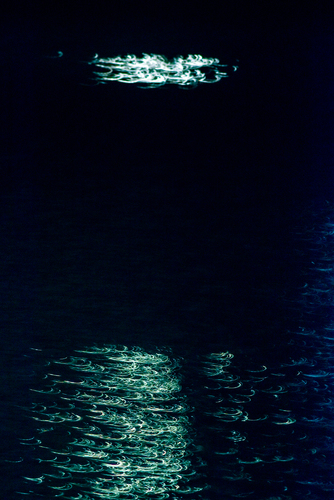 Tokyo Bay