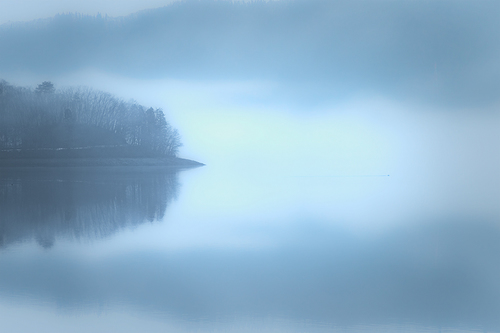 Morning fog