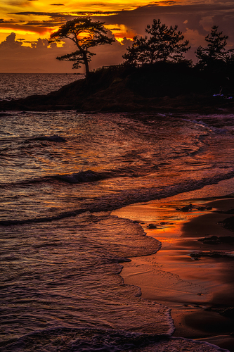 Seashore at Dusk