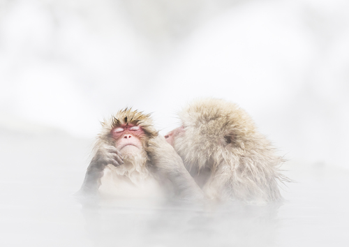hot kiss