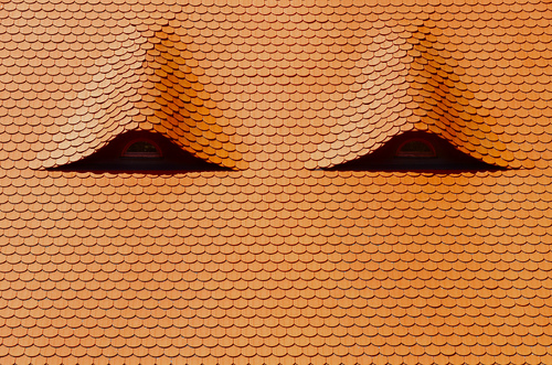 Eyes