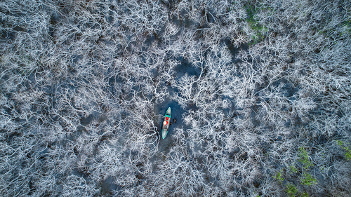 From Above